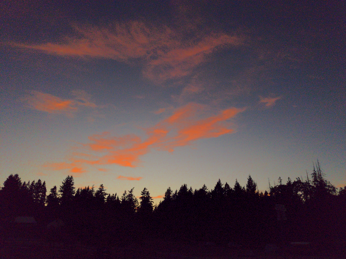 A sunset with a darkened pine-cone forest at the bottom and some orange clouds splashed, taking most of the photo.