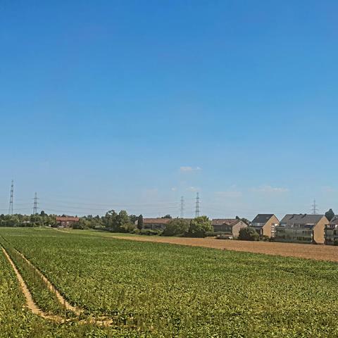 German fields as the train passes by