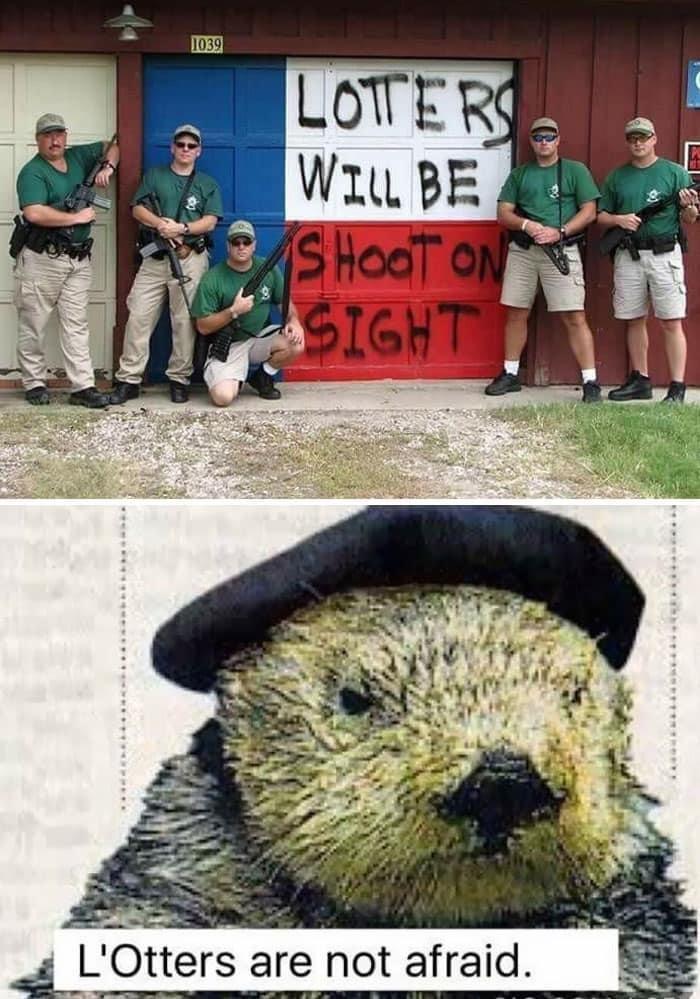 In the upper photo, five men are armed with guns, in matching green shirts and khaki slacks or shorts, are lined up around a wall painted red, white, and blue, with black spray-painted letters that read, "Lotters will be shoot on sight".

In the lower photo, a determined otter wears a black beret. The photo is labelled, "L'Otters are not afraid."