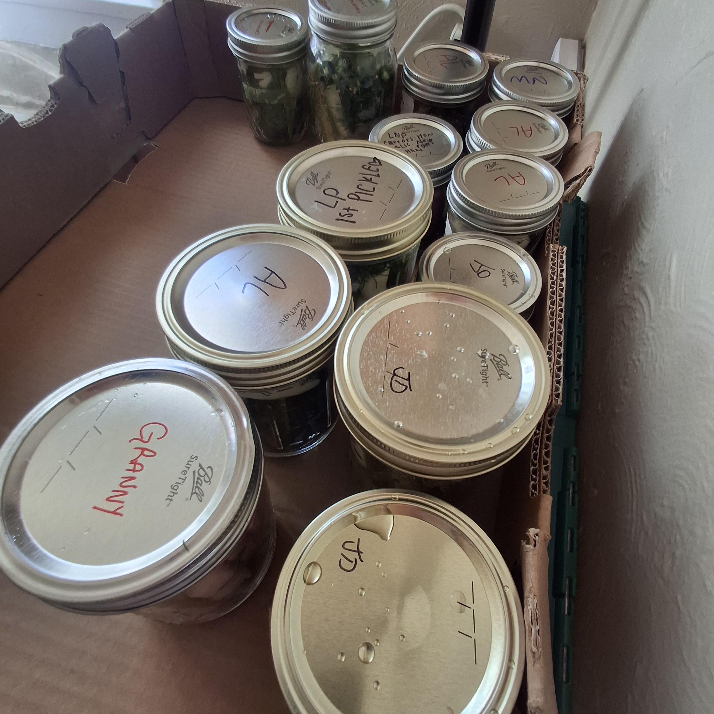 Packed jars with lids initialed by their makers.