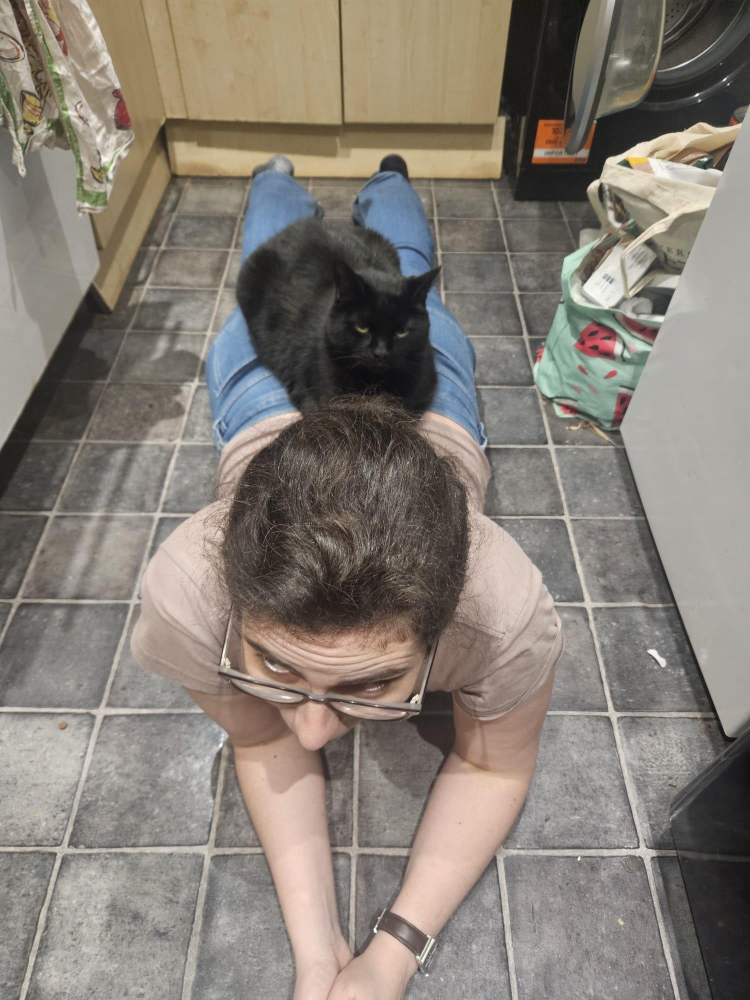 Myself lying on the kitchen floor, and being sat on by Salem, a large glossy black cat with apparent hypnotic powers