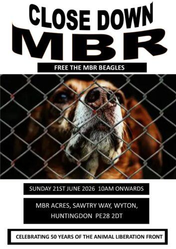 Advert shows logo for Free the MBR Beagles with a beagle dog behind wire