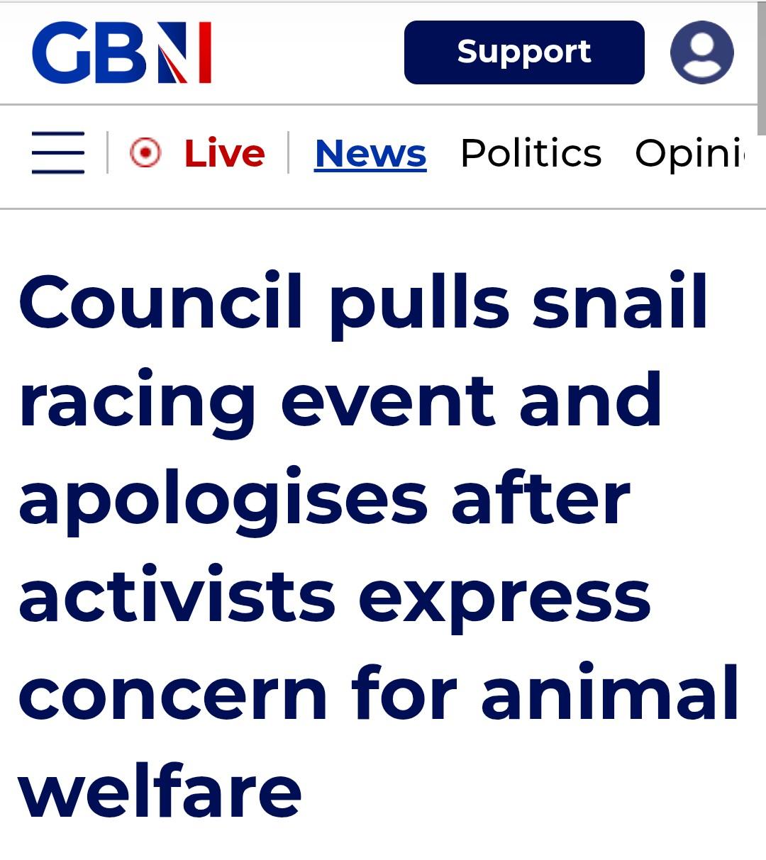 GBN banner is followed by headline text:

Council pulls snail racing event and apologises after activists express concern for animal welfare.